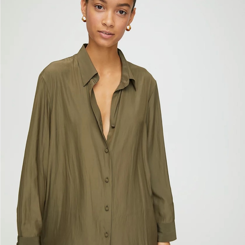 Aritzia Babaton Ronan Blouse